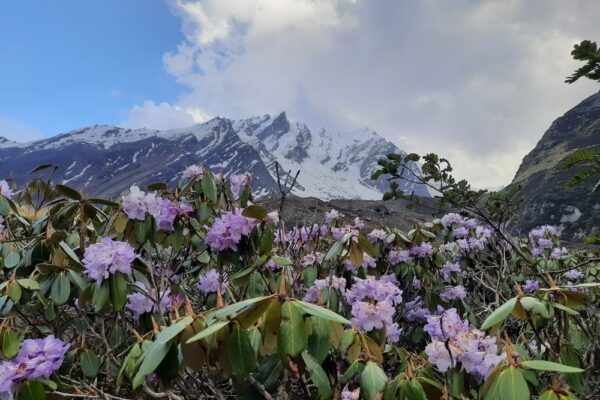 Bali Pass, Uttarakhand: Altitude Adventure Through Himalayas Bali Pass