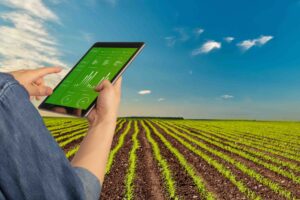 Agriculture Farm Management