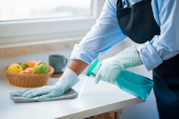domestic helper