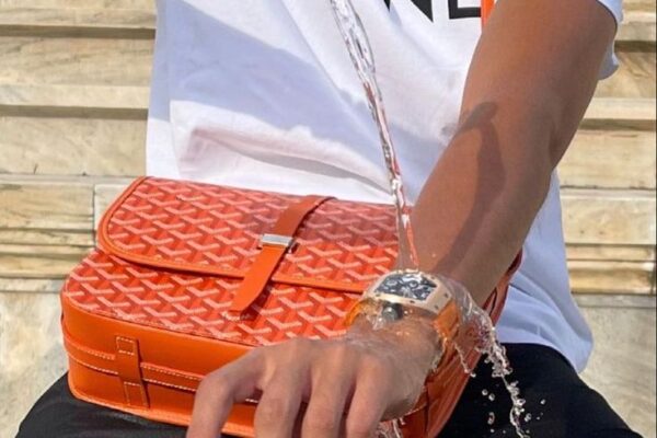 Goyard: The Timeless Elegance of French Craftsmanship Goyard