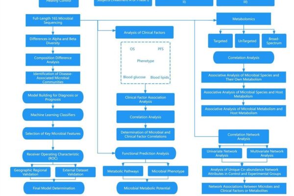 full-length-16s-rrna-sequencing-a-novel-strategy-for-gut-microbial-diversity-analysis