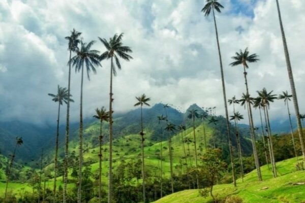 Explore More, Live More: Your Journey with Vive Mas Tours Vive Mas Tours
