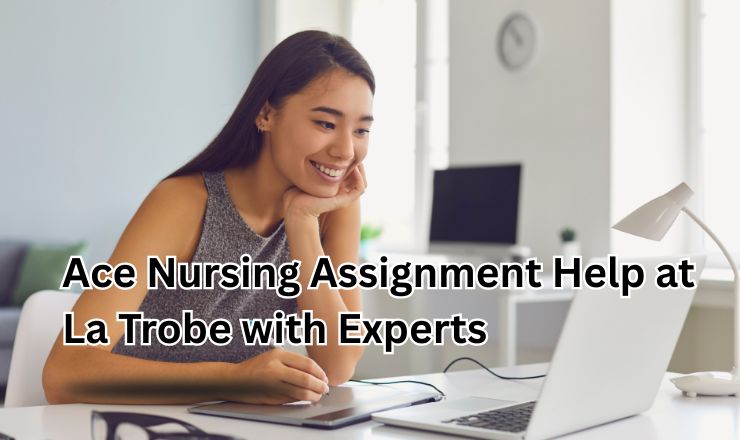 online nursing assignment help