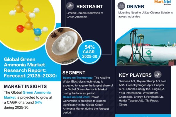 Green Ammonia Market Size & Forecast 2025–2030: Trends and Growth Insights