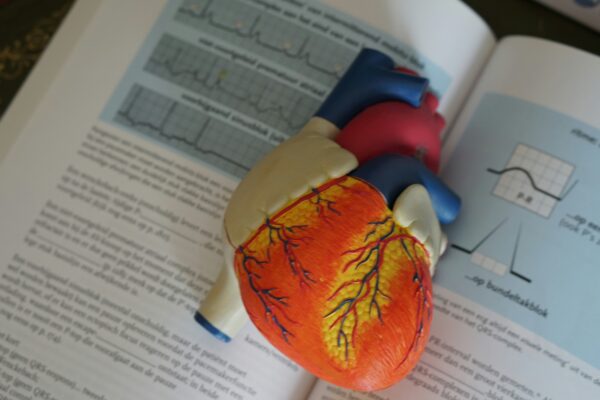How much is the MBBS fee structure for the Kemerovo State University? Complete Fee Guide for 2025