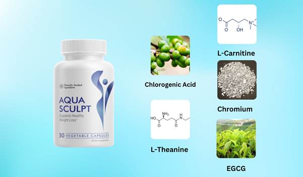 Aquasculpt