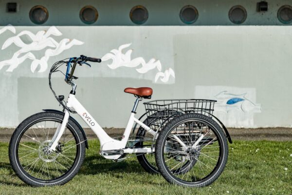 In-Depth Addmotor CityTri E-310 Review: The Ultimate Adult Trike?