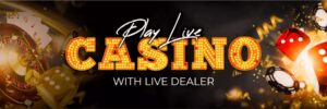 playexch.com.in